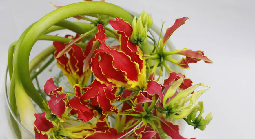 フラワーアレンジメントの写真5